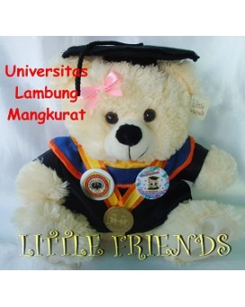Boneka Wisuda Universitas Lambung Mangkurat - Ilmu Sosial dan Politik (30 cm)